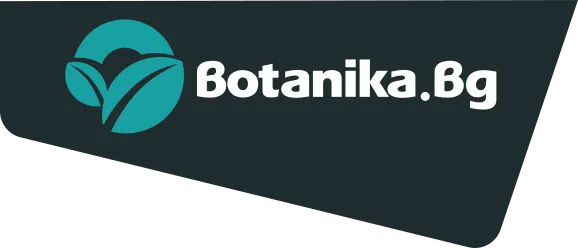 Botanika Logo